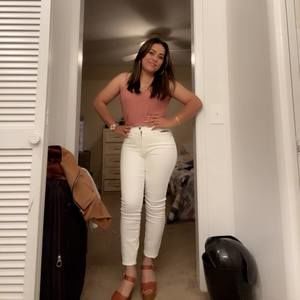 Meet your Posher, Iris